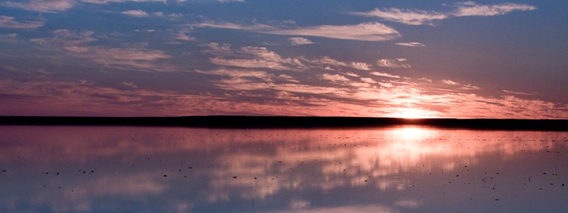 Image: https://www.environment.sa.gov.au/parks/find-a-park/Browse_by_region/flinders-ranges-outback/kati-thanda-lake-eyre-national-park